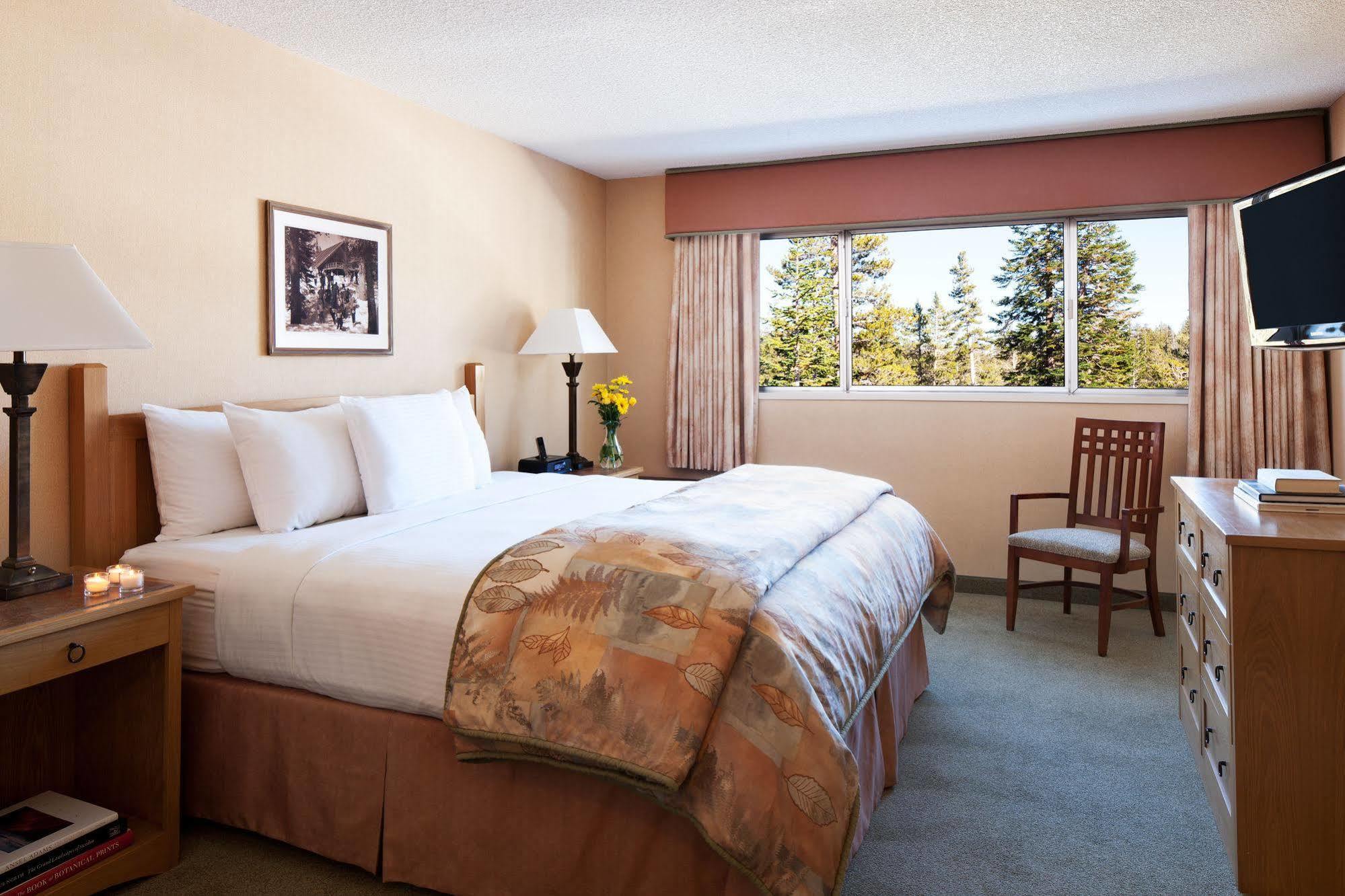 Mammoth Mountain